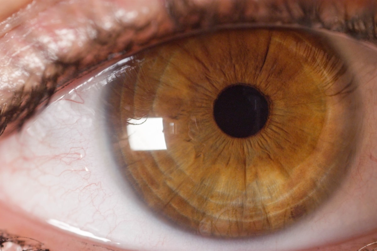 ambre yeux